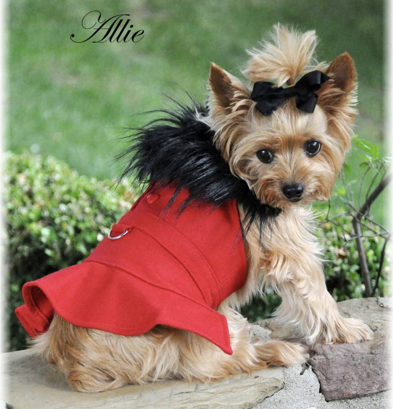 Luxury Pet Boutique USA | Designer Dog Products & Accessories – Le Pet Luxe