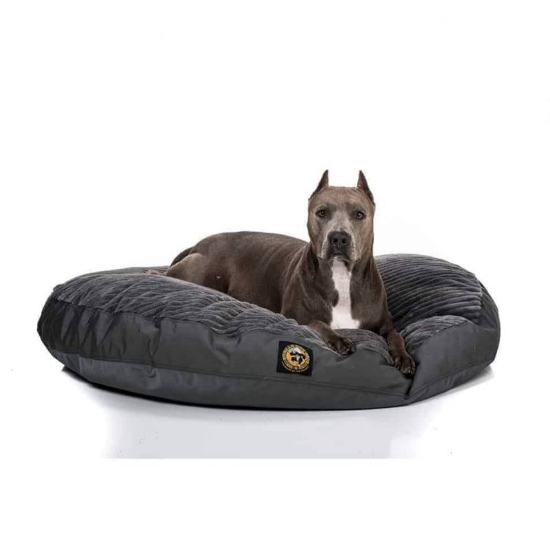 Luxury Pet Boutique USA | Designer Dog Products & Accessories – Le Pet Luxe