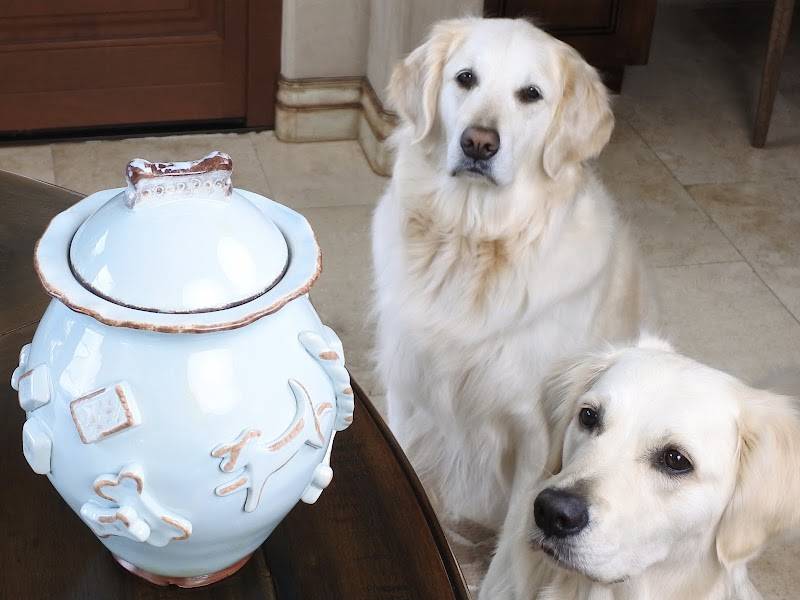 Luxury Pet Boutique USA | Designer Dog Products & Accessories – Le Pet Luxe