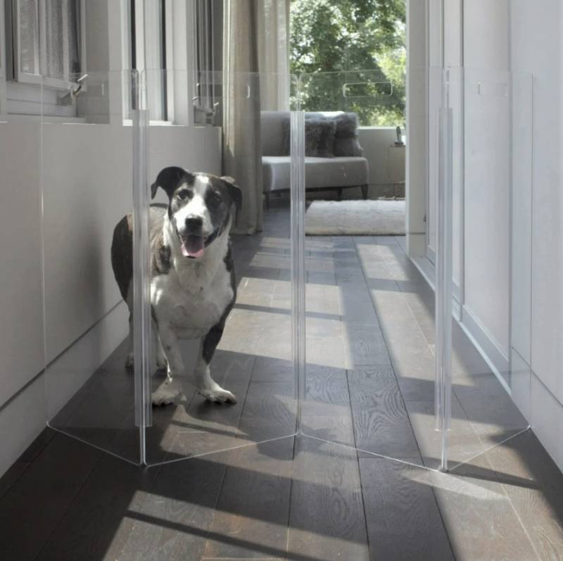 Luxury Pet Boutique USA | Designer Dog Products & Accessories – Le Pet Luxe