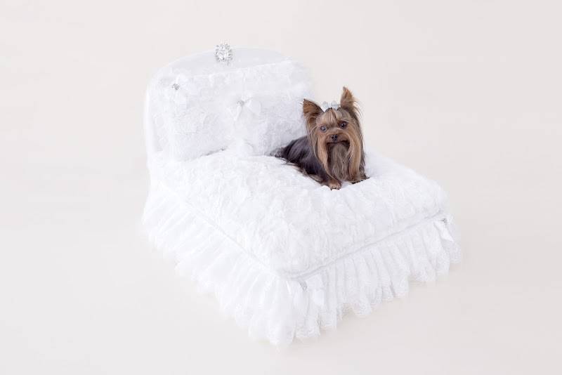 Luxury Pet Boutique USA | Designer Dog Products & Accessories – Le Pet Luxe