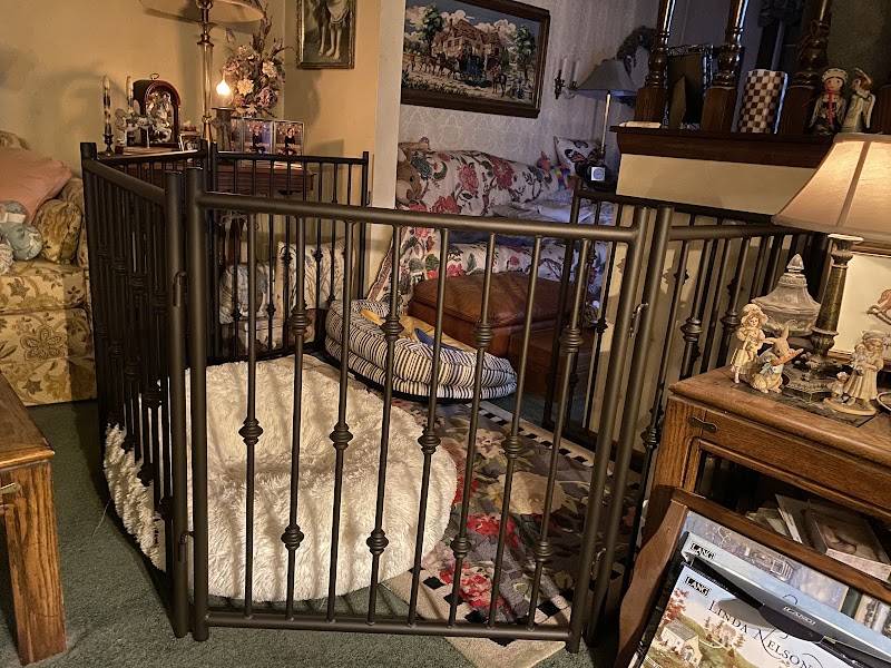 Luxury Pet Boutique USA | Designer Dog Products & Accessories – Le Pet Luxe